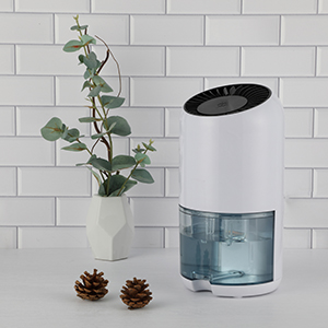 ����� | �ٷ���վ